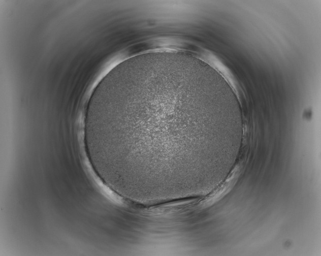 X0000102350859200808011202