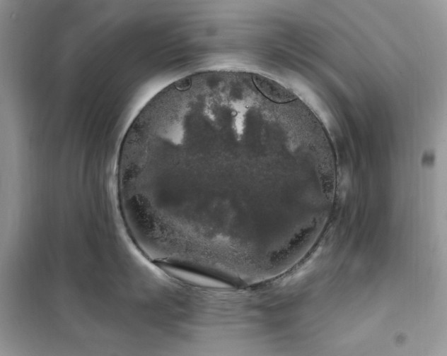 X0000102350863200808011202