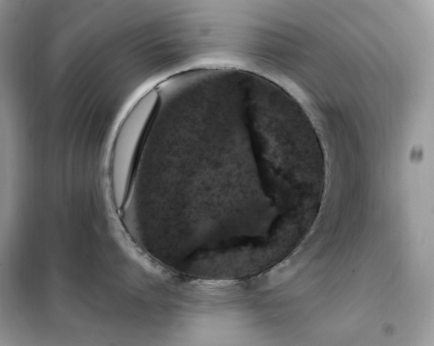 X0000102350864200808011202