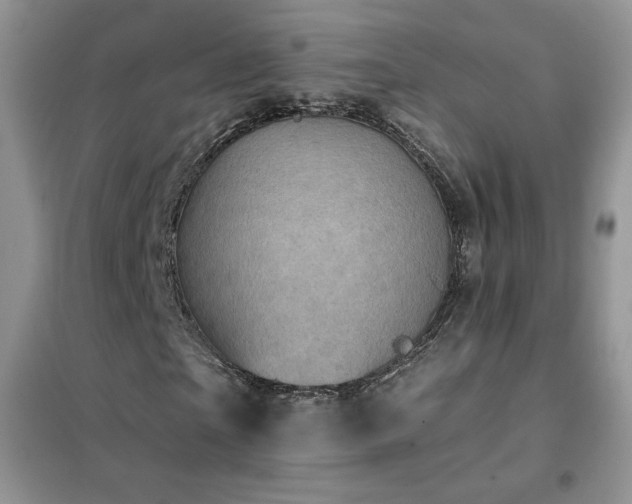 X0000102350865200808011202