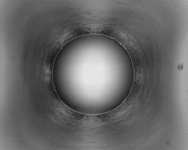 X0000102350866200808011202