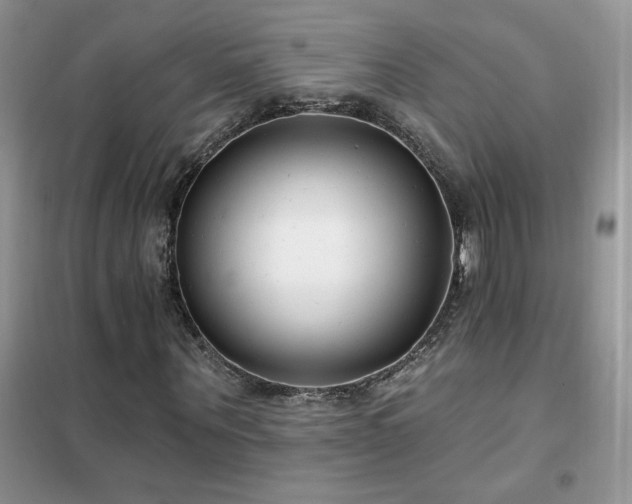 X0000102350867200808011201