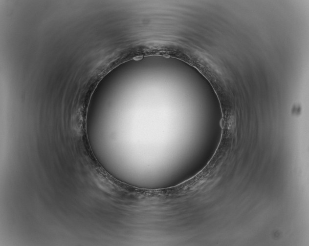 X0000102350868200808011201