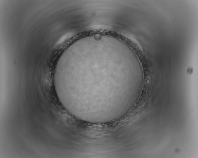 X0000102350869200808011201