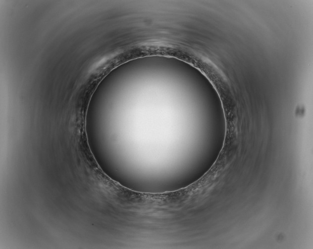 X0000102350870200808011201