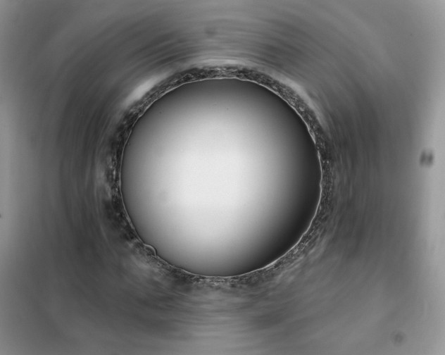 X0000102350871200808011201