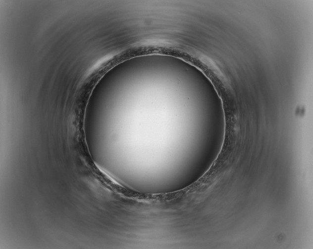 X0000102350872200808011201