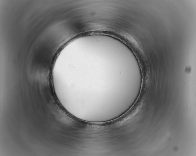 X0000102350873200808011201