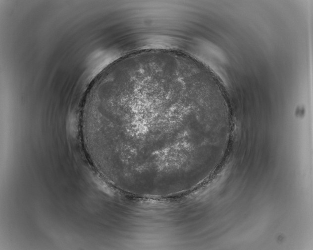 X0000102350874200808011201