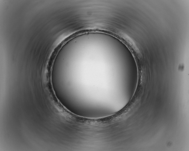 X0000102350876200808011201