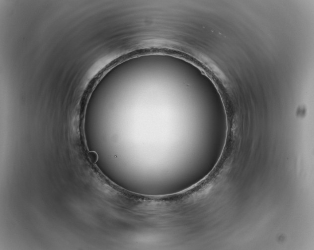 X0000102350877200808011201