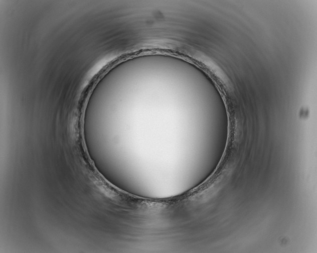 X0000102350878200808011201