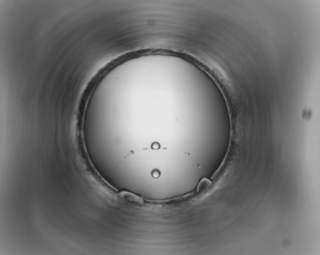 X0000102350880200808011201