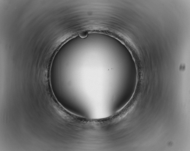 X0000102350881200808011201