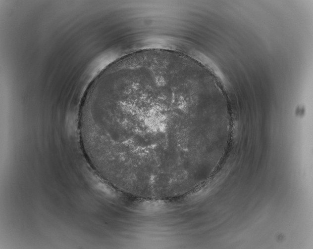 X0000102350882200808011201