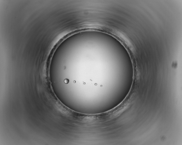 X0000102350883200808011201