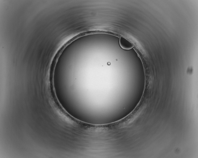 X0000102350884200808011201