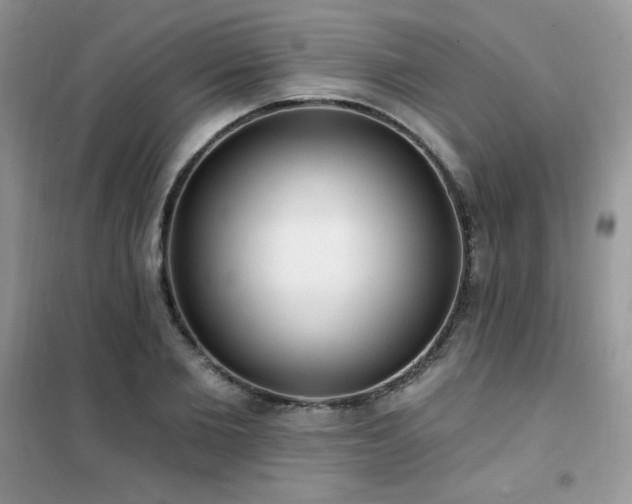 X0000102350885200808011201