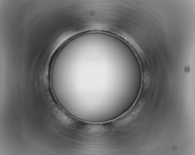 X0000102350886200808011201