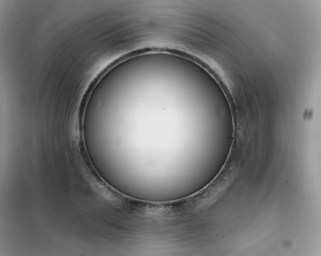 X0000102350887200808011201