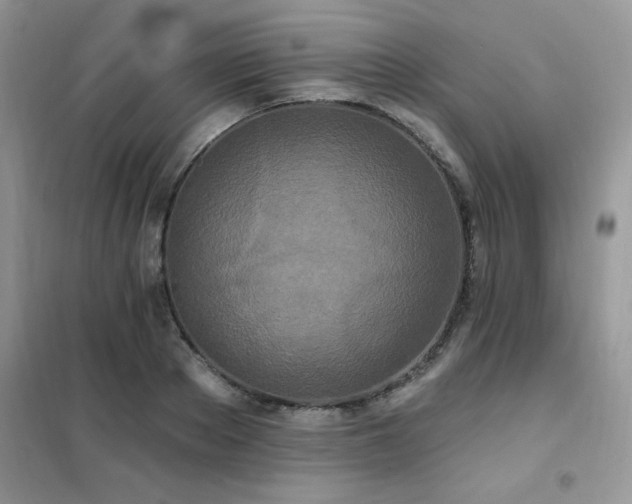 X0000102350889200808011201