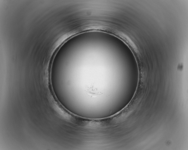 X0000102350890200808011201