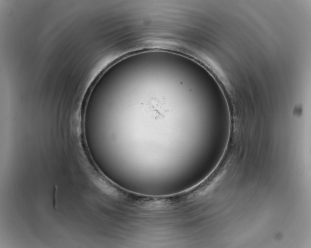 X0000102350891200808011201