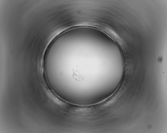 X0000102350892200808011201