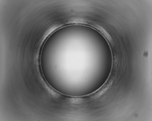 X0000102350893200808011201