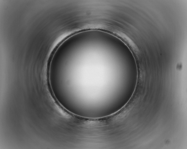 X0000102350894200808011201