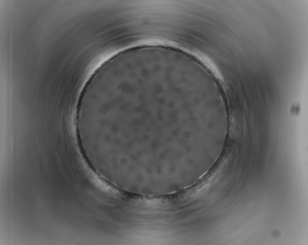 X0000102350895200808011201