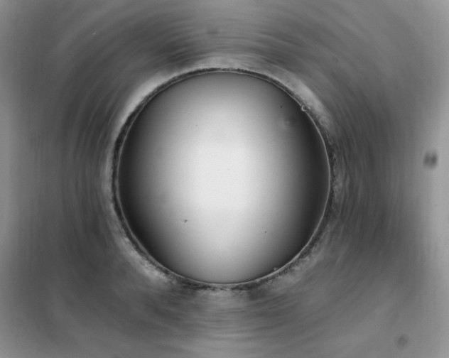 X0000102350896200808011201