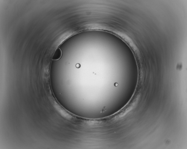 X0000102350897200808011201