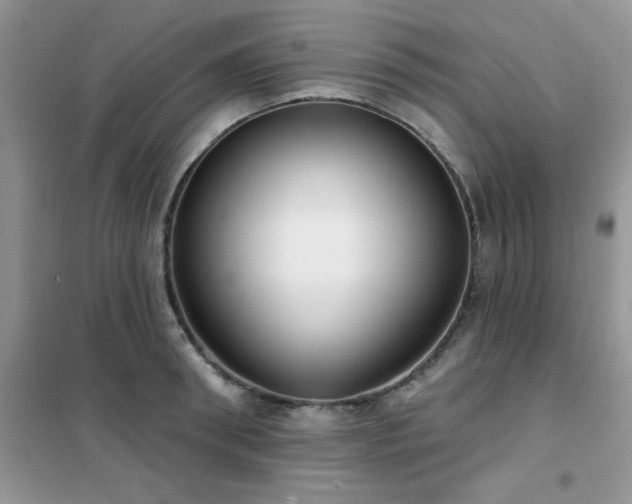 X0000102350898200808011201