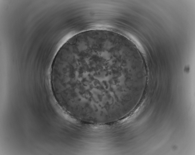 X0000102350899200808011201