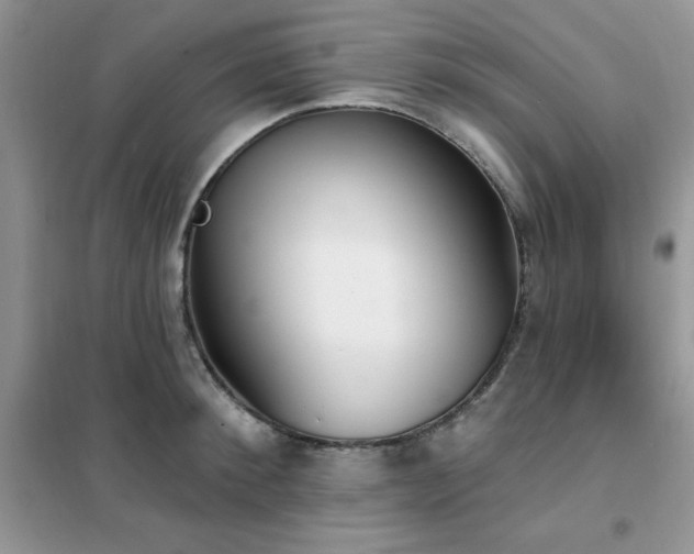 X0000102350900200808011201