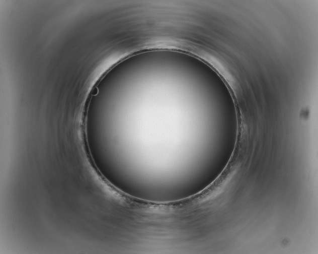 X0000102350901200808011201