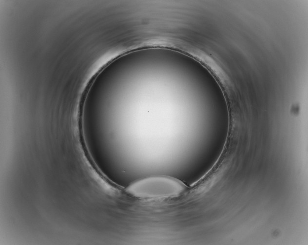 X0000102350902200808011201