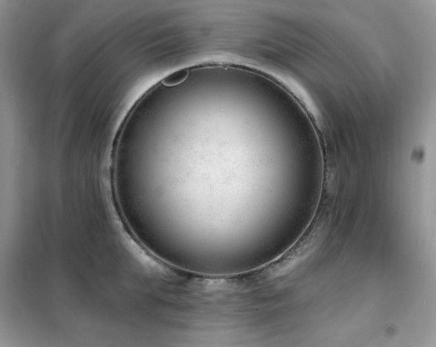 X0000102350903200808011201