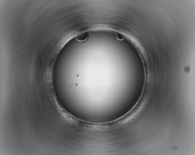 X0000102350905200808011201