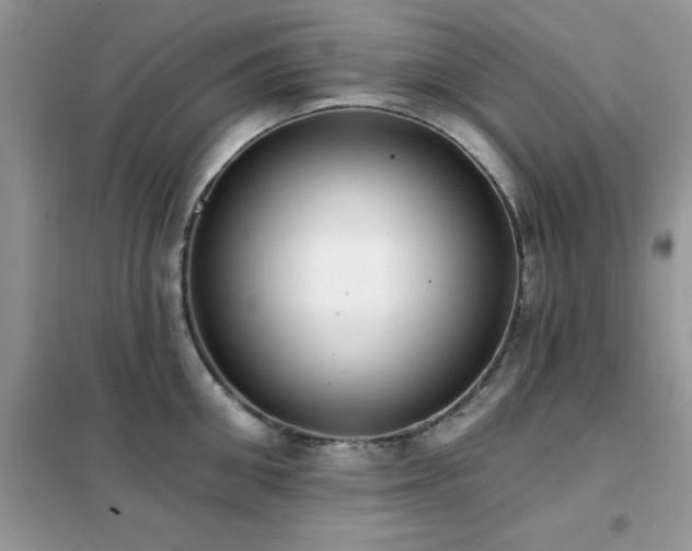 X0000102350906200808011201