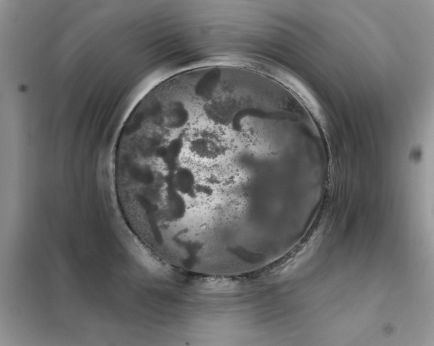 X0000102350907200808011201