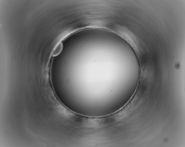 X0000102350908200808011201