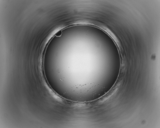 X0000102350909200808011201