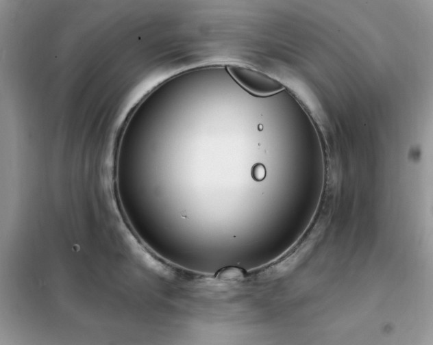 X0000102350910200808011201