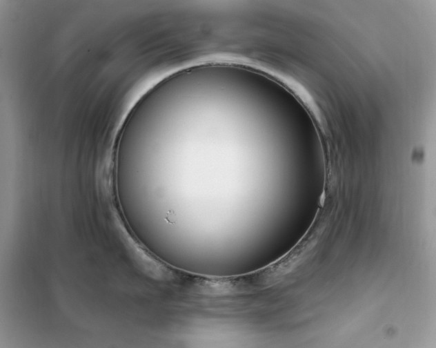 X0000102350911200808011201