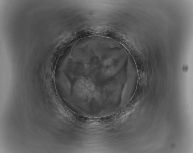 X0000102350913200808011200