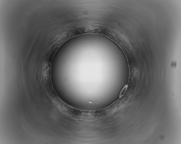 X0000102350914200808011200