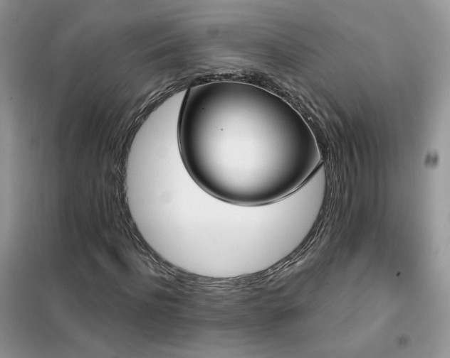 X0000102350916200808011200