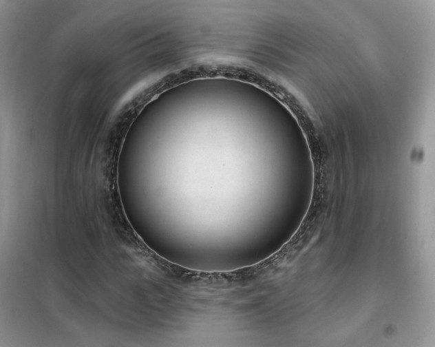 X0000102350919200808011200